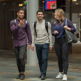 Naar een inclusieve werkomgeving! Met (levens)verhalen bias doorbreken