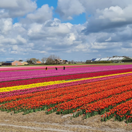 Smart Farming Bollen