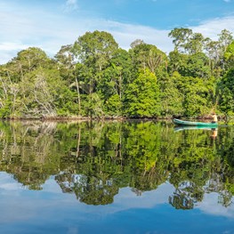 Duurzaam Bosbeheer in Suriname