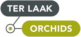 Ter Laak Orchids