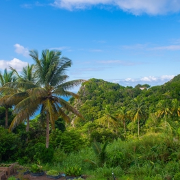 Food Resilient Futures Dutch Caribbean