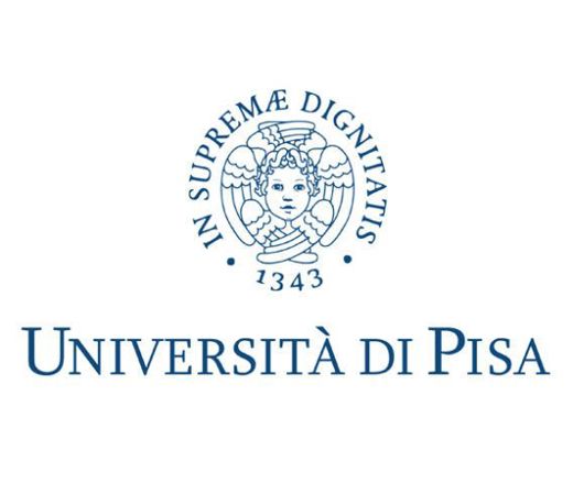 University di Pisa - Universita di Pisa