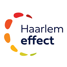 Haarlem Effect